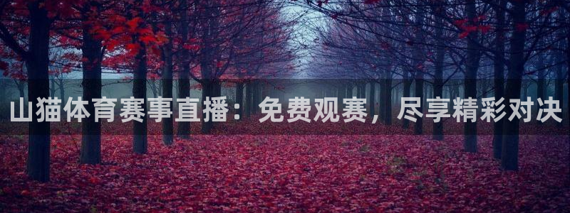 山猫体育赛事直播：免费观赛，尽享精彩对决